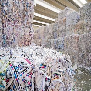 Sorted-Office-Paper-SOP-3.jpg